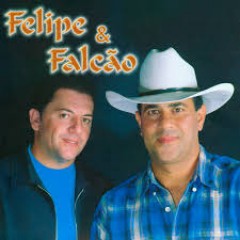 Felipe e falcão